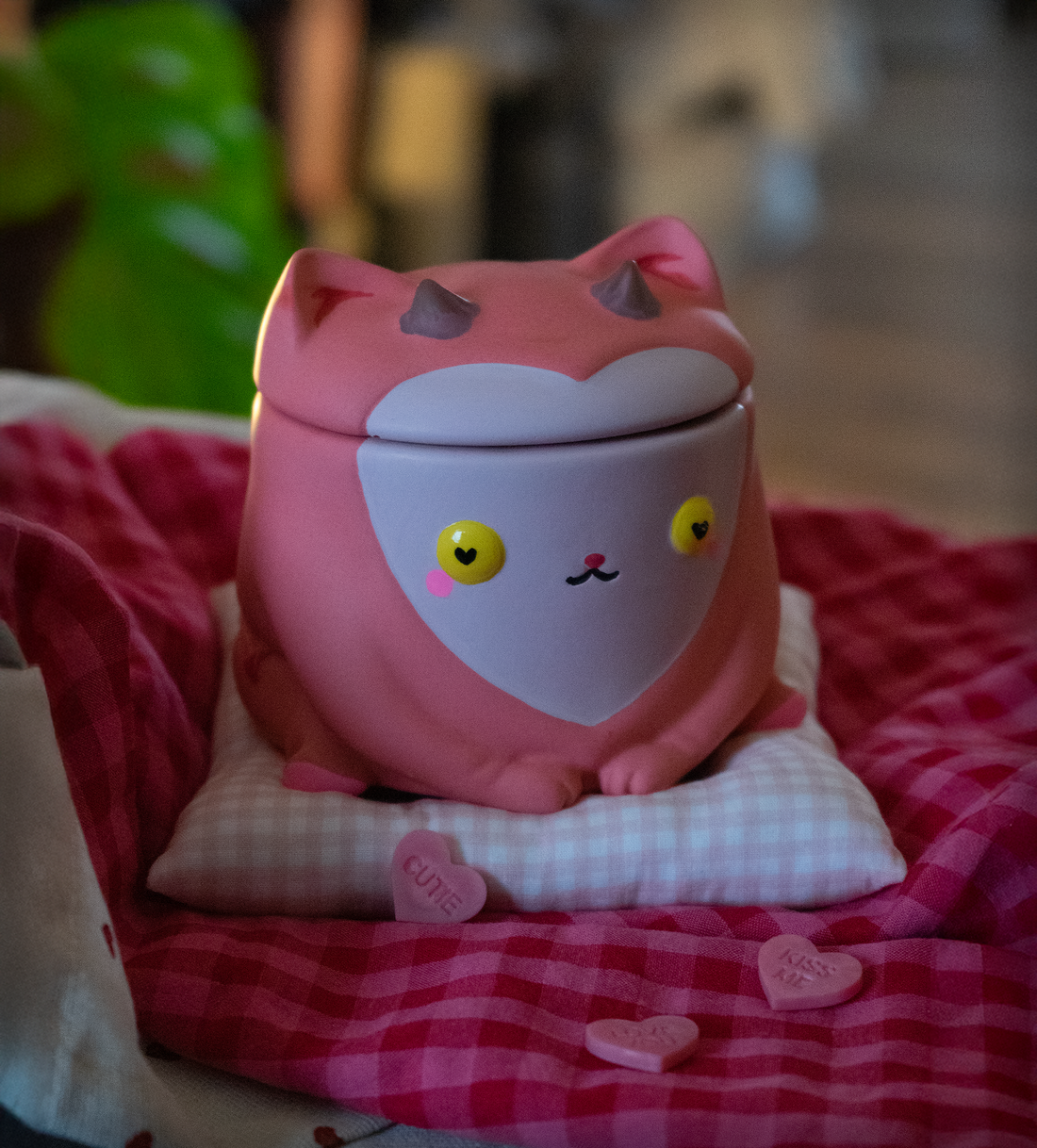 Meet Mr Kitty: The First Litter