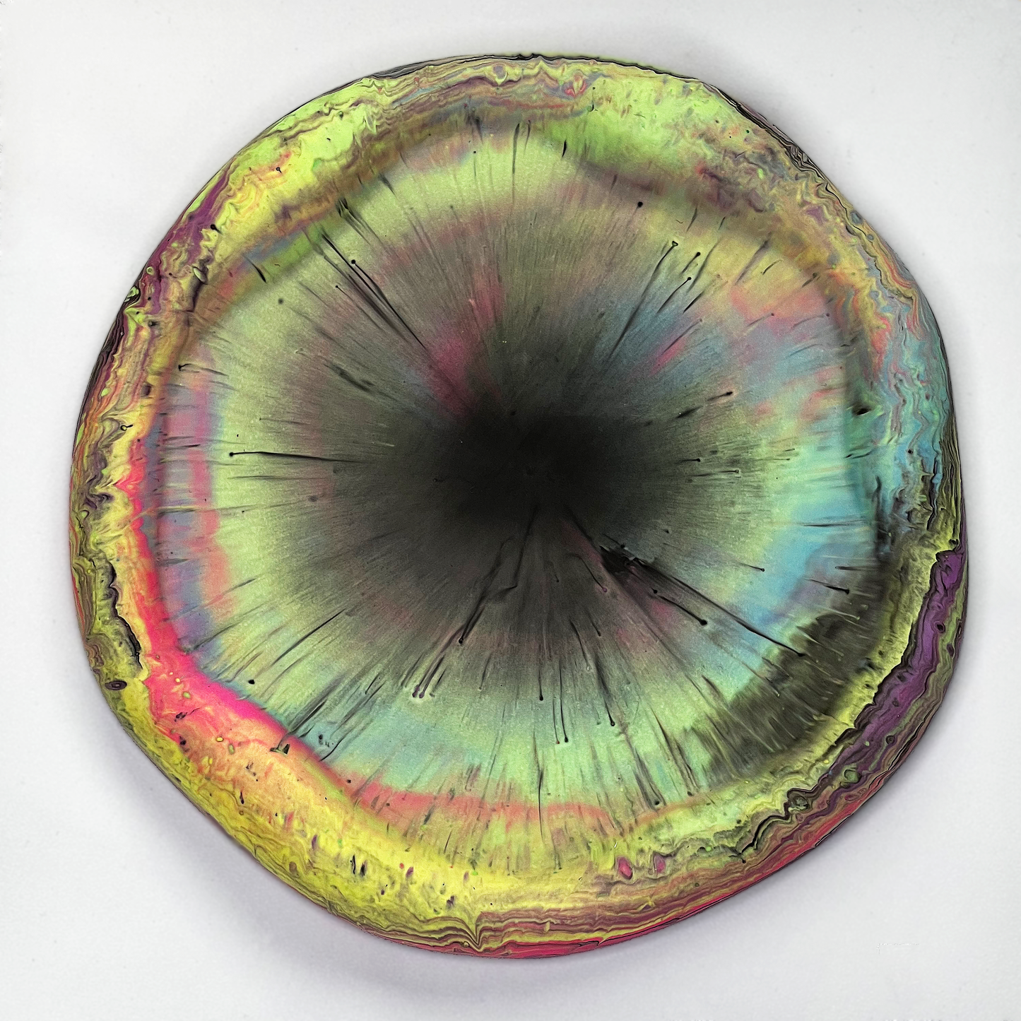 ✨ Aurora Squidge Gift Set — Limited Edition — UV Reactive Neon Home Decor